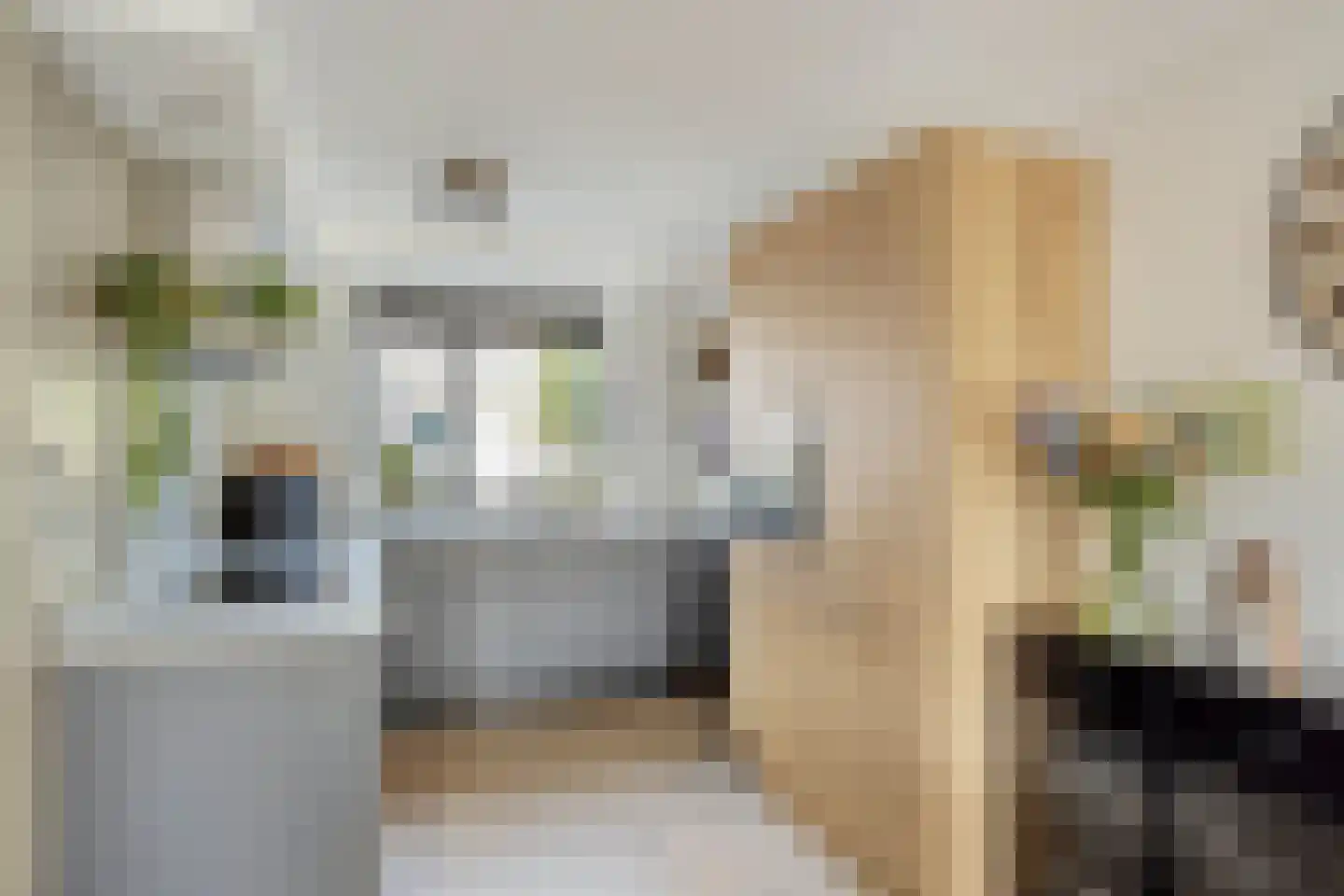 Hoeting 99 Leuth thumbnail 5
