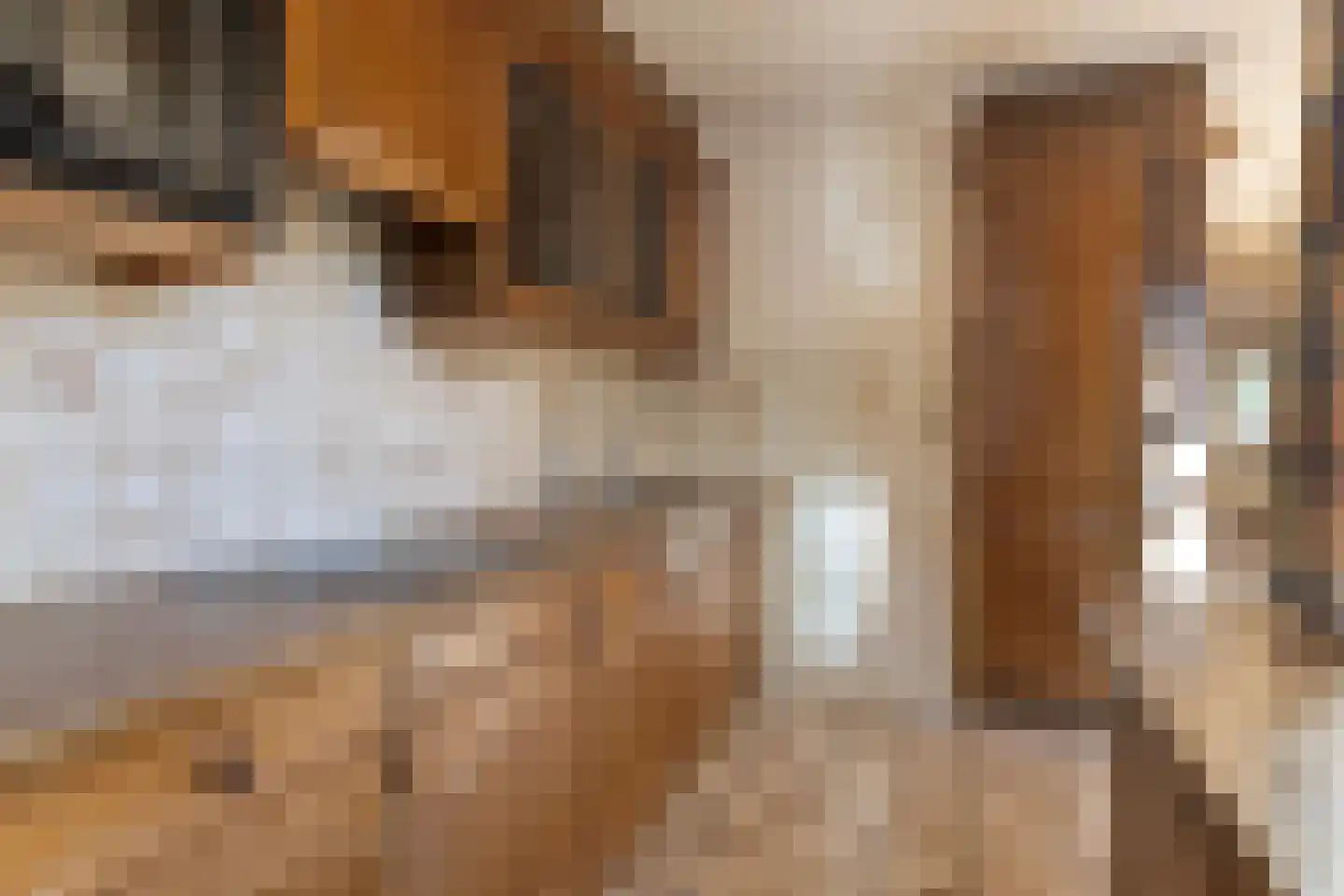 Hoetinkhof 122 Vorden thumbnail 17