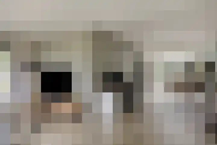 Hoetinkhof 137 Vorden thumbnail 14