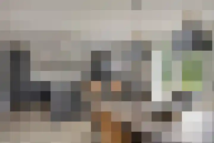 Hoetinkhof 137 Vorden thumbnail 16