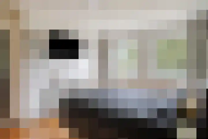 Hoetinkhof 137 Vorden thumbnail 25