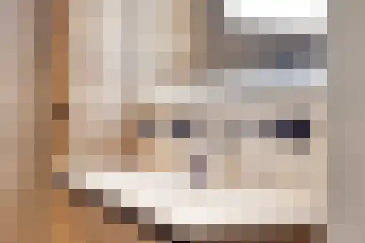 Hoetinkhof 137 Vorden thumbnail 29