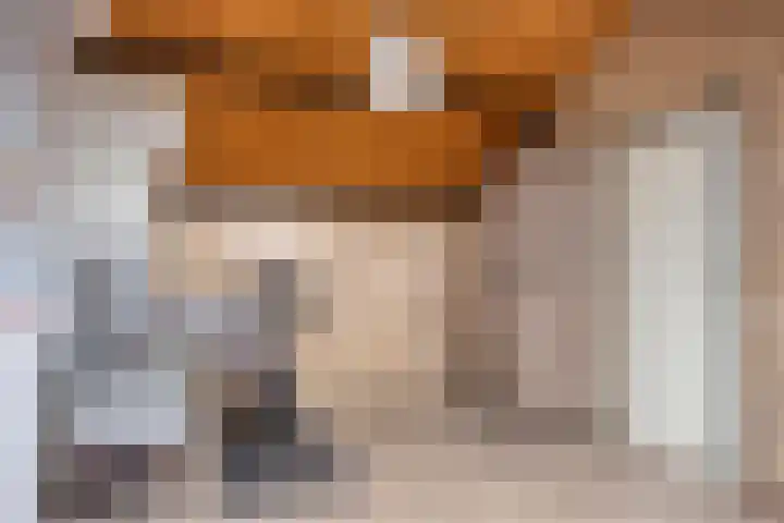 Hoetinkhof 137 Vorden thumbnail 34