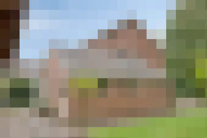 Hoetinkhof 137 Vorden thumbnail 36