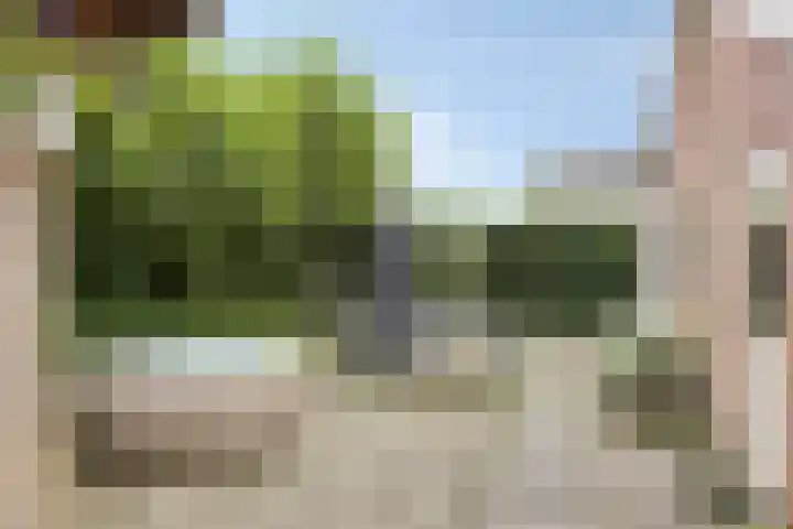 Hoetinkhof 137 Vorden thumbnail 37