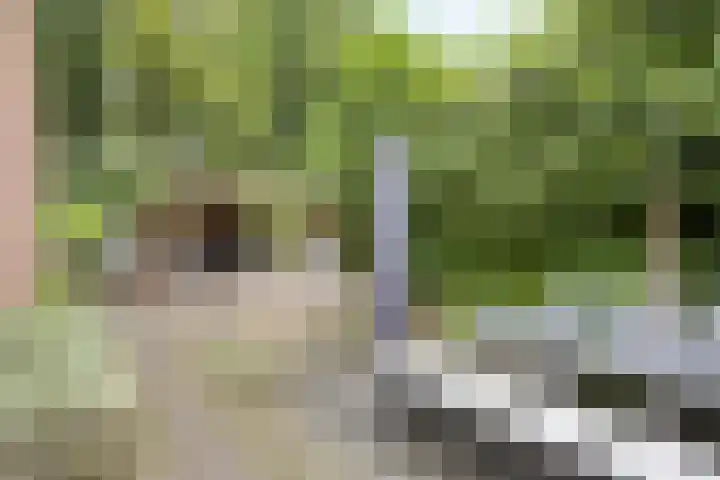 Hoetinkhof 137 Vorden thumbnail 39