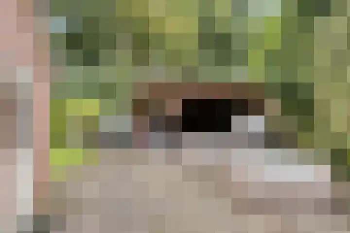 Hoetinkhof 137 Vorden thumbnail 40