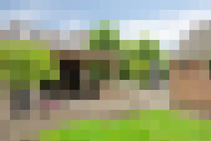 Hoetinkhof 137 Vorden thumbnail 41