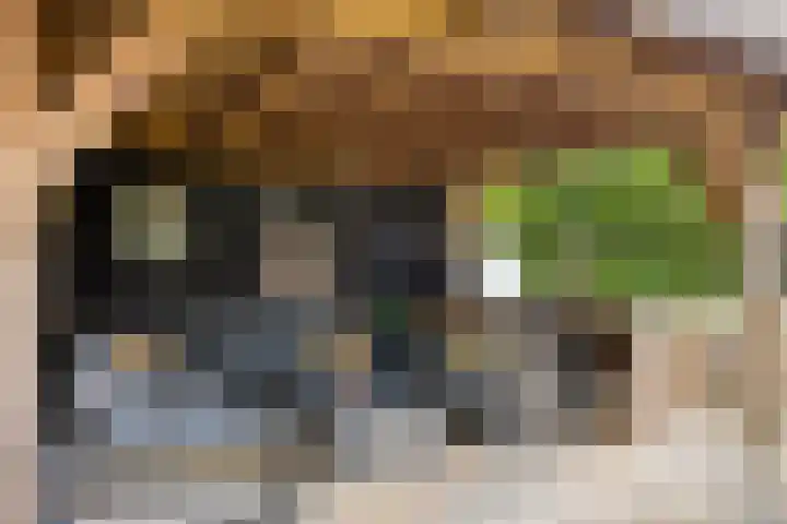 Hoetinkhof 137 Vorden thumbnail 44