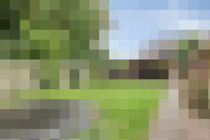 Hoetinkhof 137 Vorden thumbnail 45