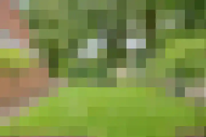 Hoetinkhof 137 Vorden thumbnail 47