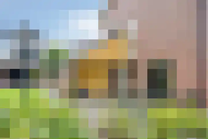 Hoetinkhof 137 Vorden thumbnail 5