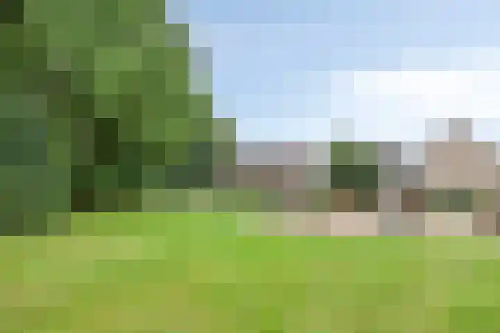 Hoetinkhof 137 Vorden thumbnail 50