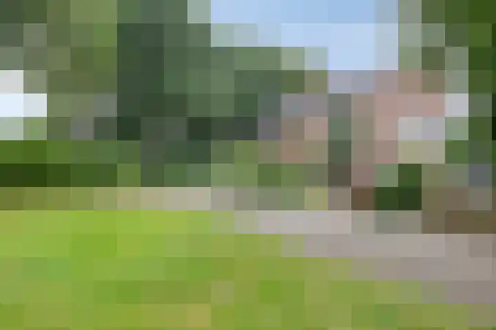 Hoetinkhof 137 Vorden thumbnail 52