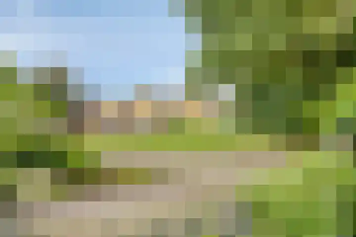 Hoetinkhof 137 Vorden thumbnail 53