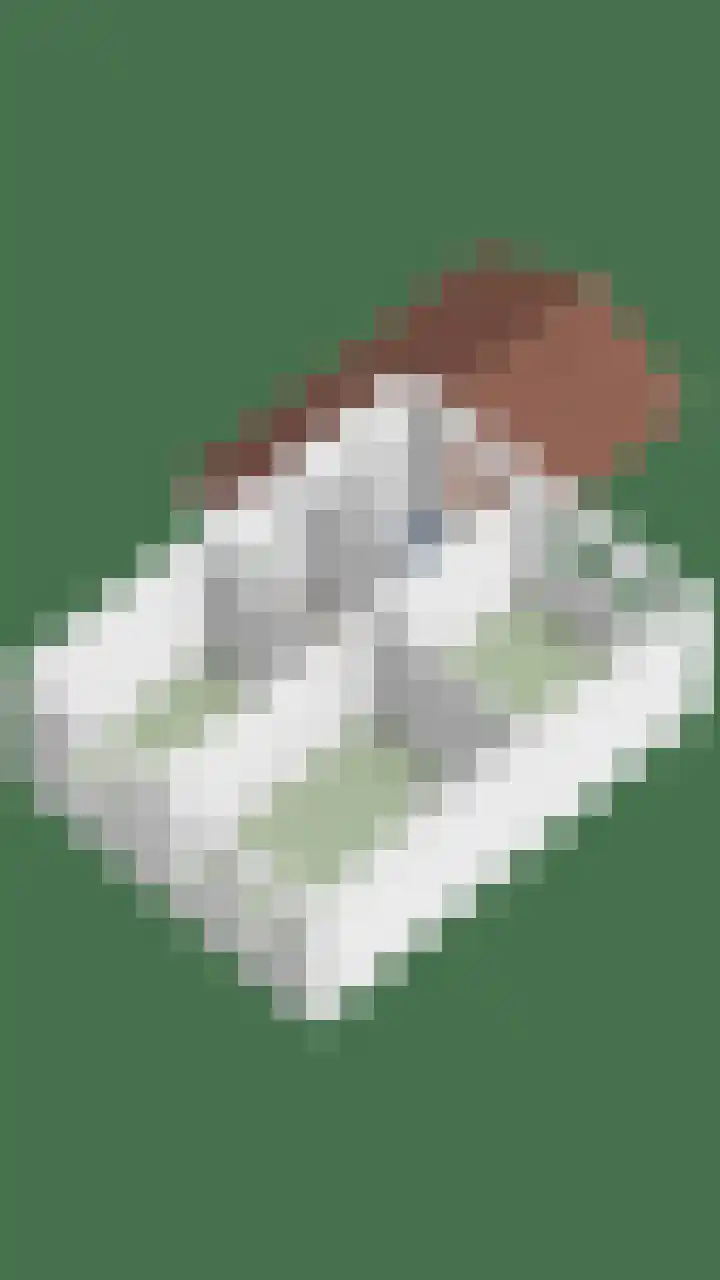 Hoetinkhof 137 Vorden thumbnail 60