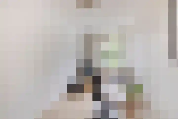 Hoetinkhof 151 Vorden thumbnail 14