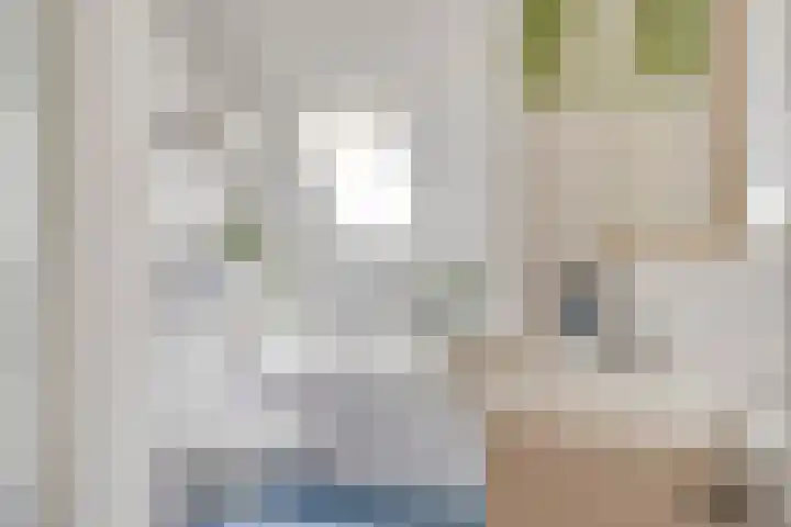 Hoetinkhof 151 Vorden thumbnail 17