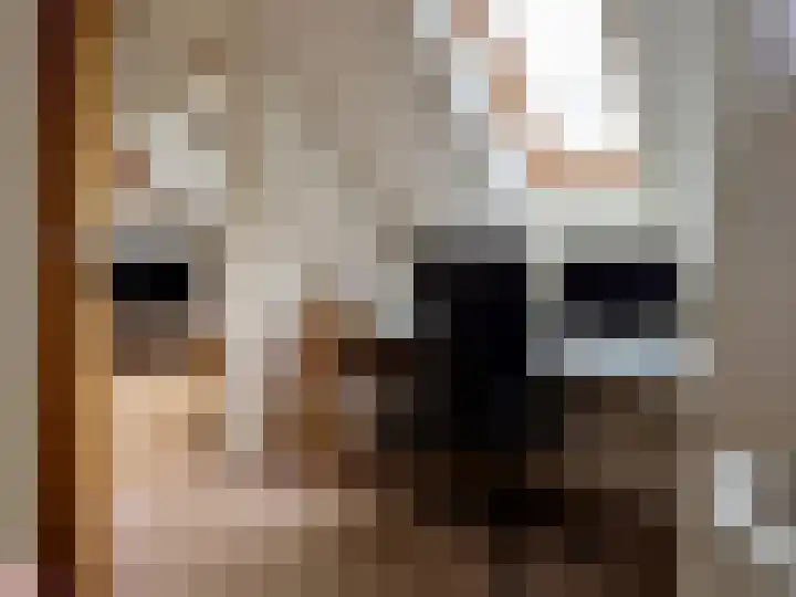 Hoetinkhof 151 Vorden thumbnail 22