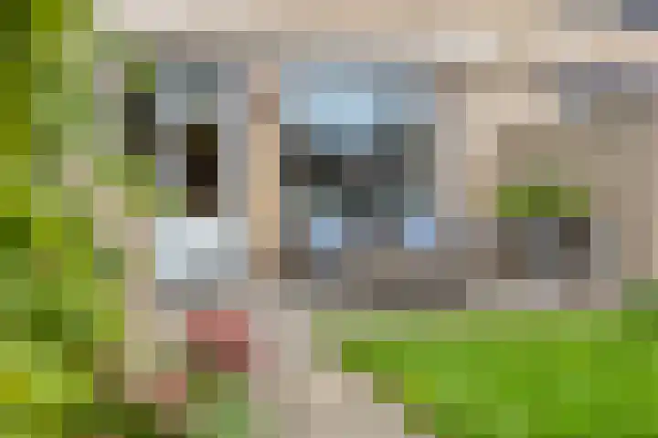 Hoetinkhof 151 Vorden thumbnail 25