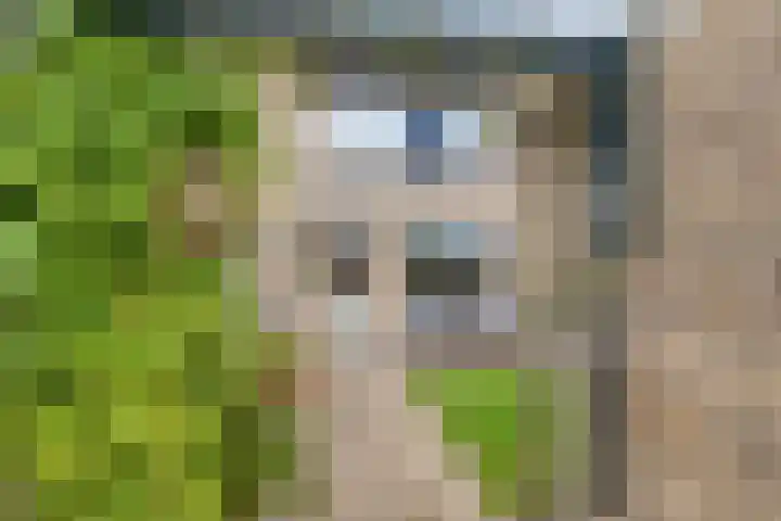 Hoetinkhof 151 Vorden thumbnail 27