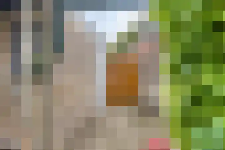 Hoetinkhof 151 Vorden thumbnail 28