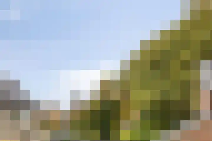 Hoetinkhof 151 Vorden thumbnail 29