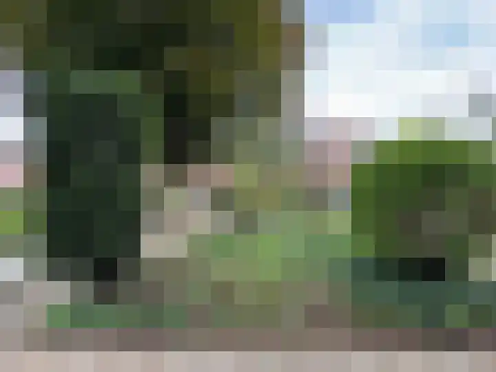 Hoetinkhof 151 Vorden thumbnail 30