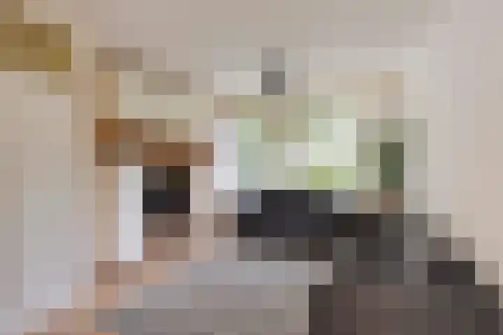 Hoetinkhof 151 Vorden thumbnail 4