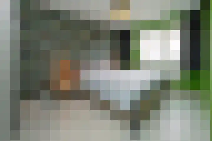 Hoetinkhof 187 Vorden thumbnail 10