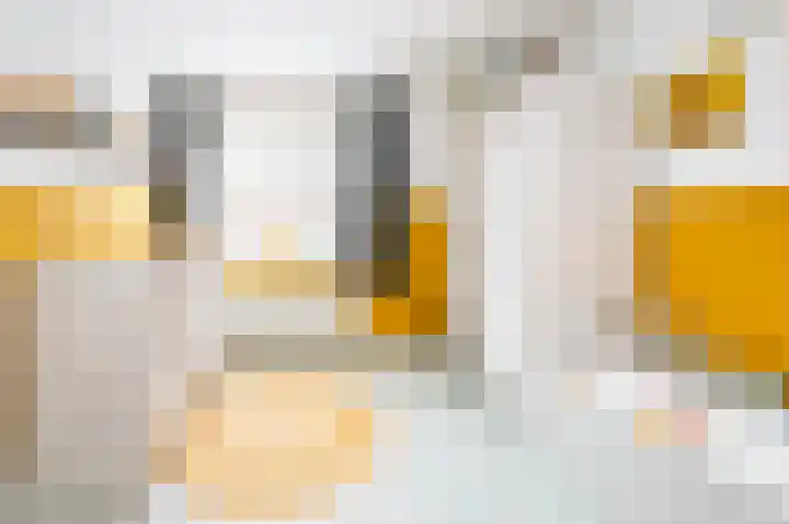 Hoetinkhof 187 Vorden thumbnail 11