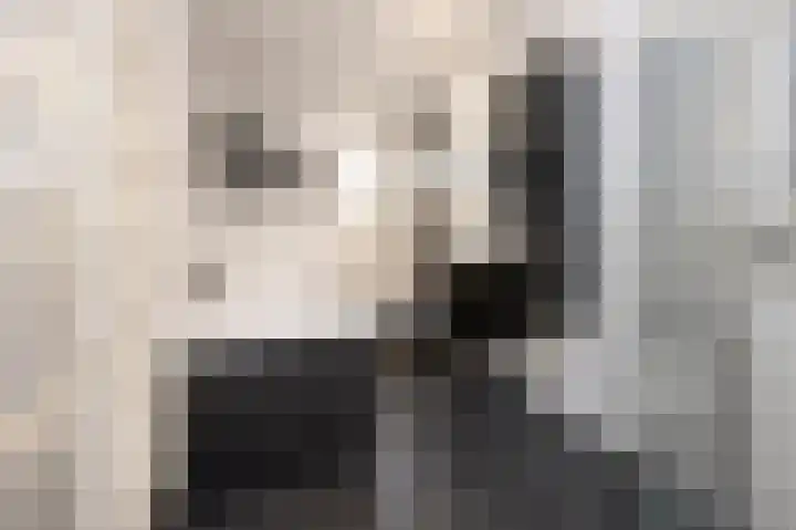 Hoetinkhof 187 Vorden thumbnail 14