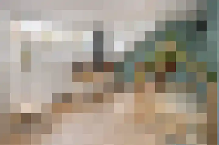 Hoetinkhof 187 Vorden thumbnail 16