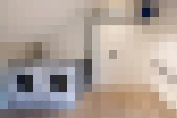 Hoetinkhof 187 Vorden thumbnail 18