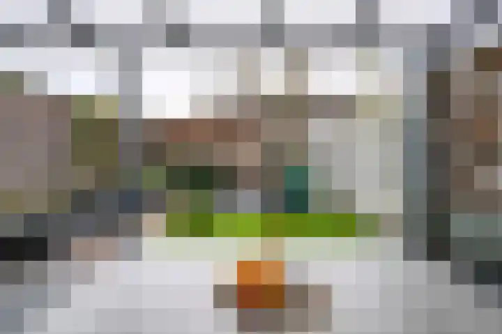 Hoetinkhof 187 Vorden thumbnail 20