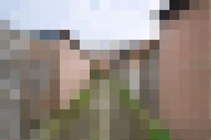 Hoetinkhof 187 Vorden thumbnail 24