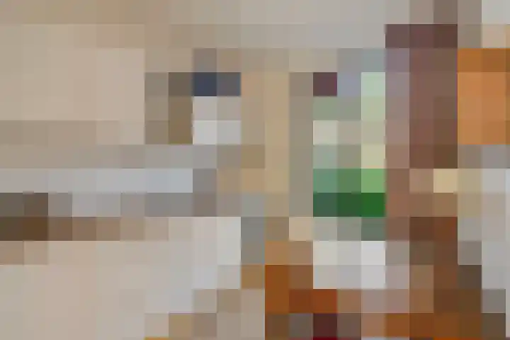 Hoetinkhof 189 Vorden thumbnail 12