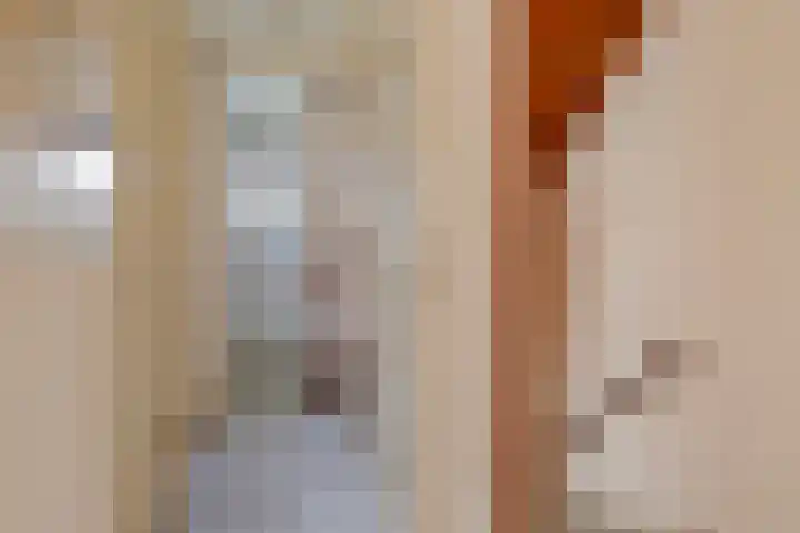 Hoetinkhof 189 Vorden thumbnail 15