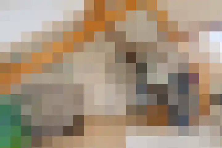Hoetinkhof 189 Vorden thumbnail 21