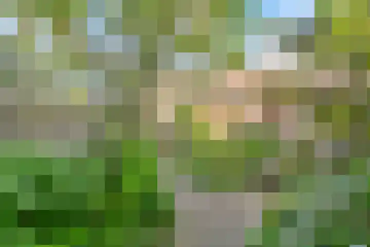 Hoetinkhof 189 Vorden thumbnail 22