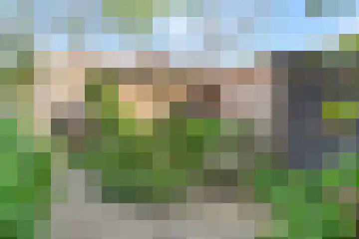 Hoetinkhof 189 Vorden thumbnail 23