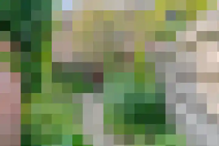 Hoetinkhof 189 Vorden thumbnail 24