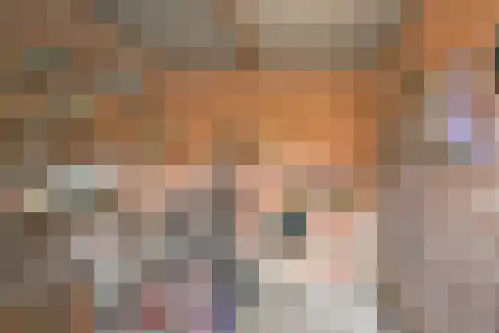 Hoetinkhof 189 Vorden thumbnail 25