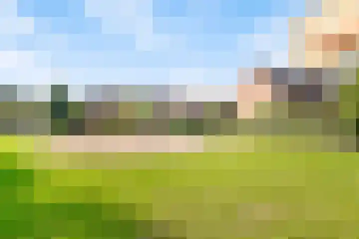 Hoetinkhof 189 Vorden thumbnail 26