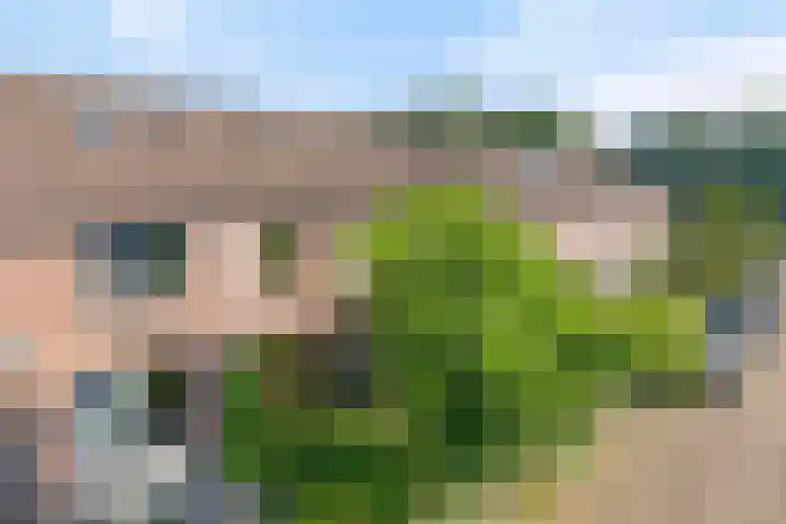 Hoetinkhof 189 Vorden thumbnail 31