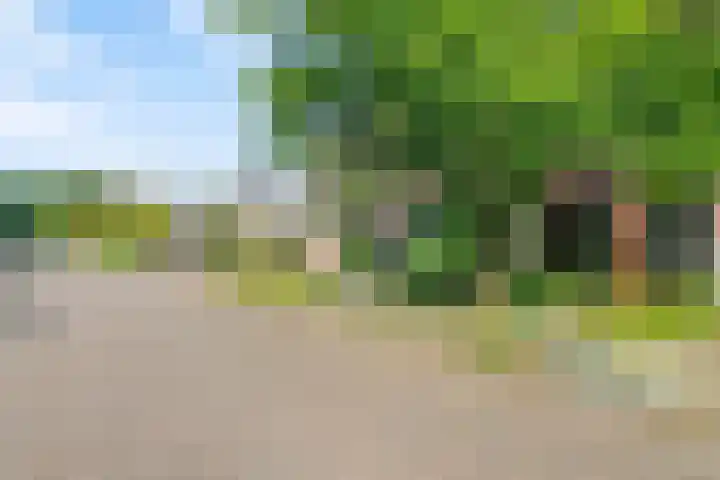 Hoetinkhof 189 Vorden thumbnail 5