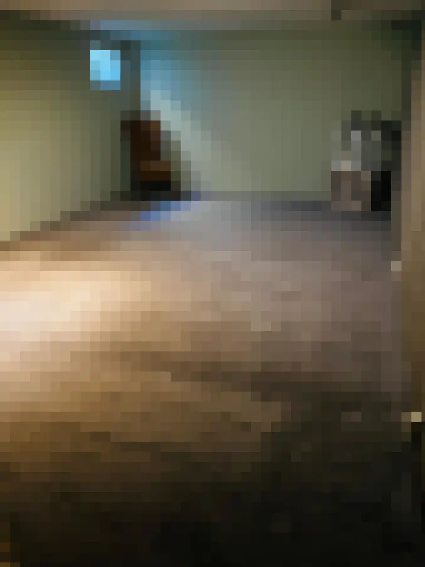 Hoetinkhof 3 Vorden thumbnail 10