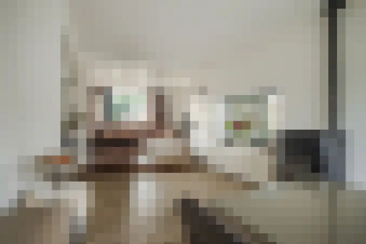 Hoetinkhof 3 Vorden foto 2