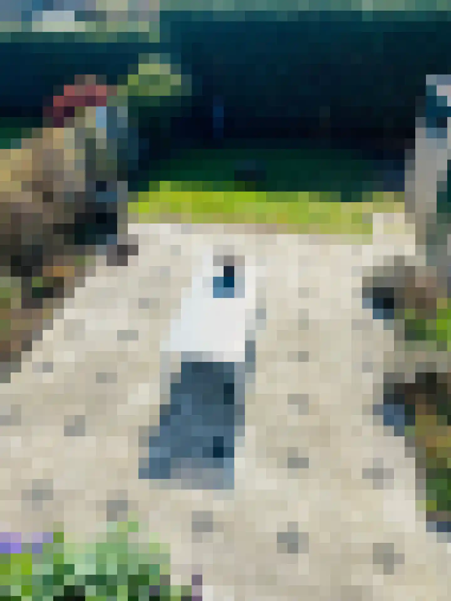 Hoetinkhof 3 Vorden thumbnail 21