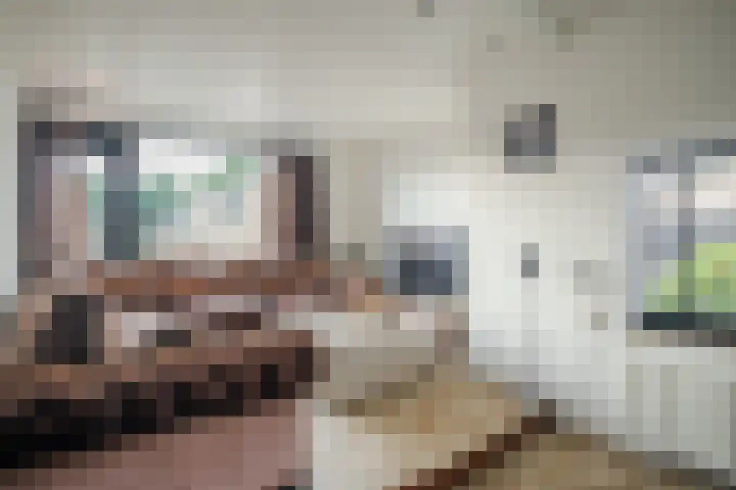 Hoetinkhof 3 Vorden thumbnail 5